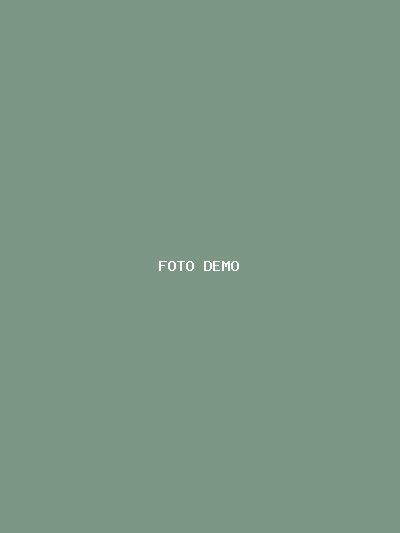 Demo · Laura Quiromasajista